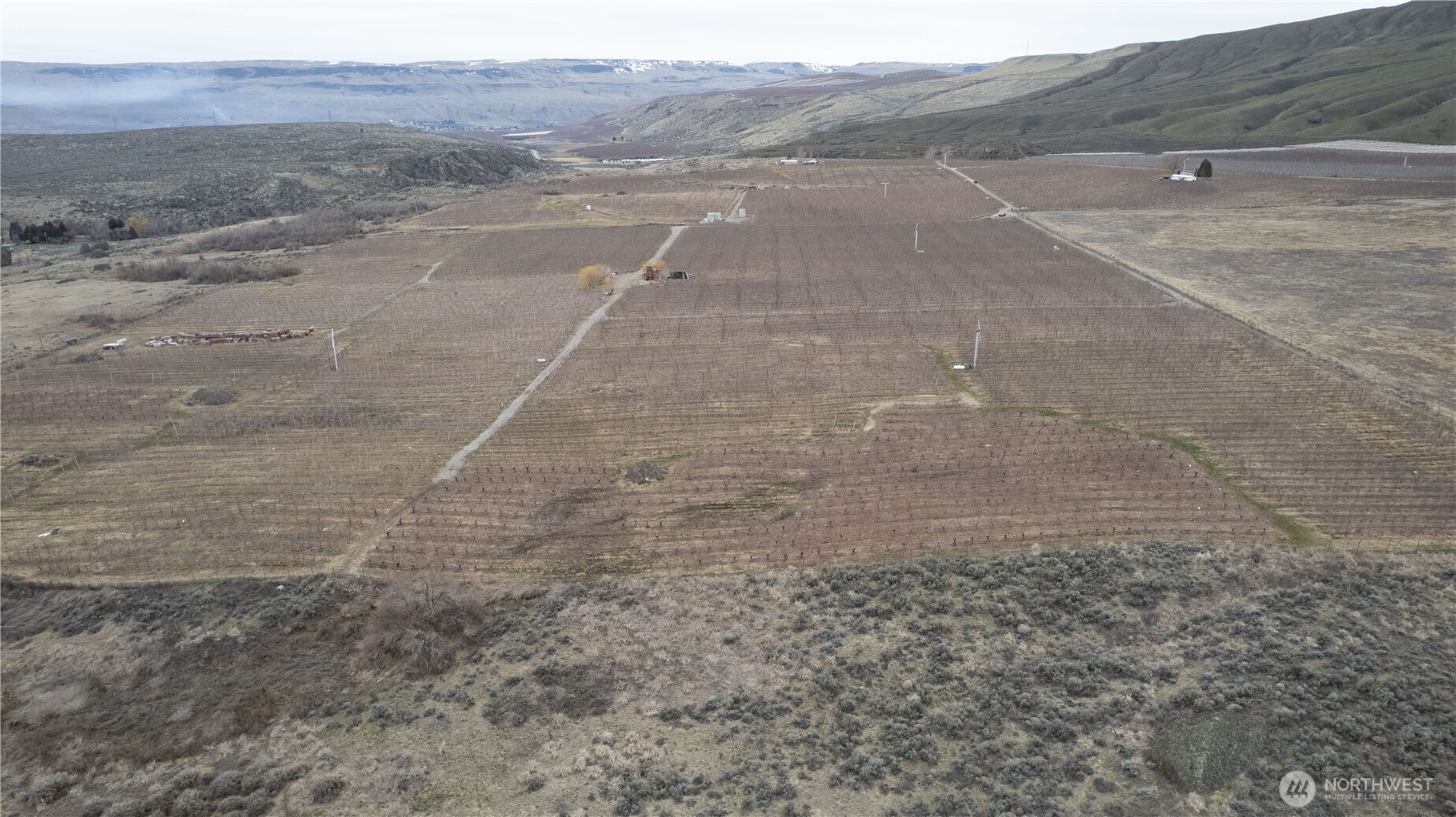 0 Jack Wells Road Bridgeport, WA 98813 - Photo 4 of 16