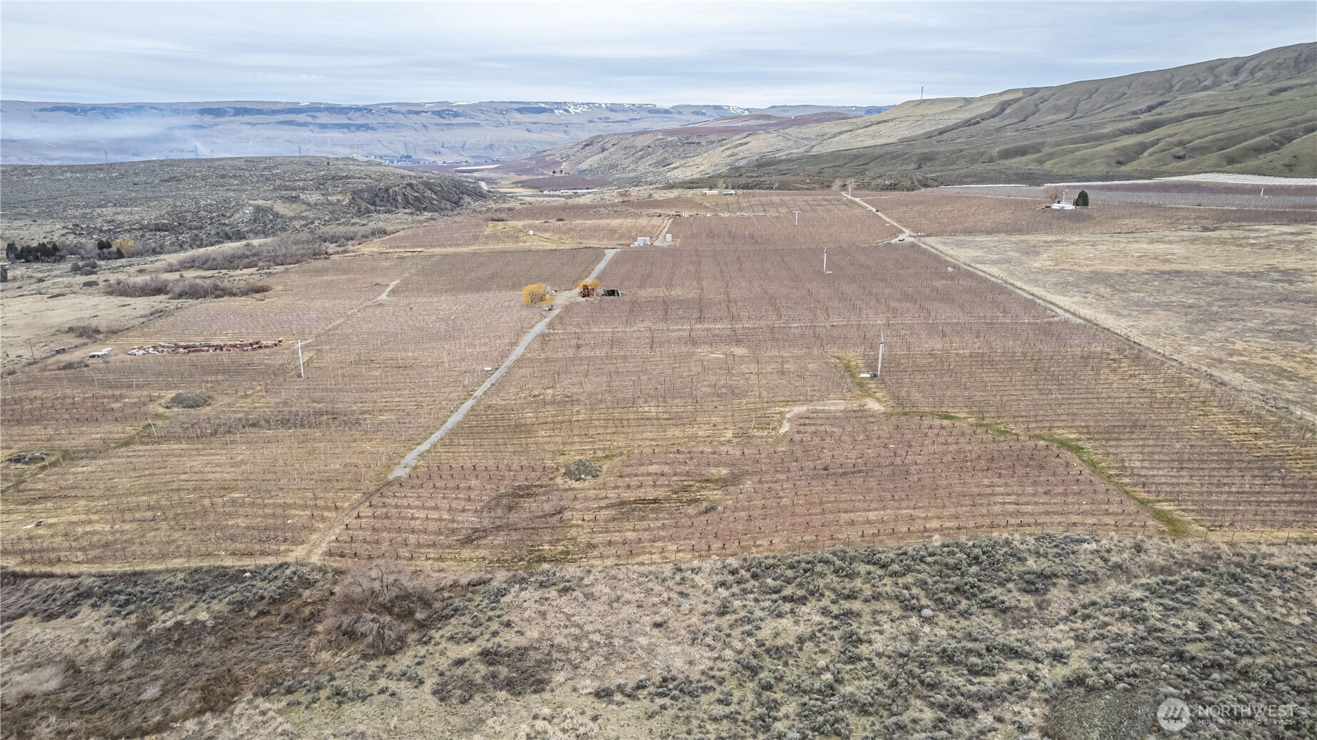 0 Jack Wells Road Bridgeport, WA 98813 - Photo 5 of 16