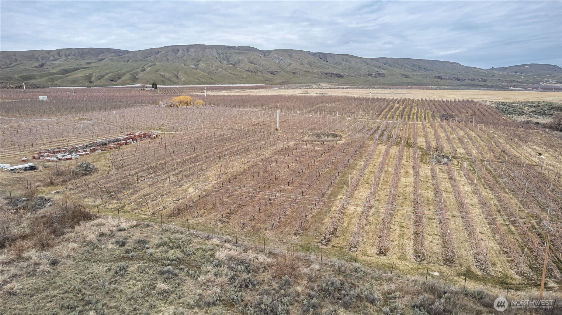 0 Jack Wells Road Bridgeport, WA 98813 - Photo 9 of 16