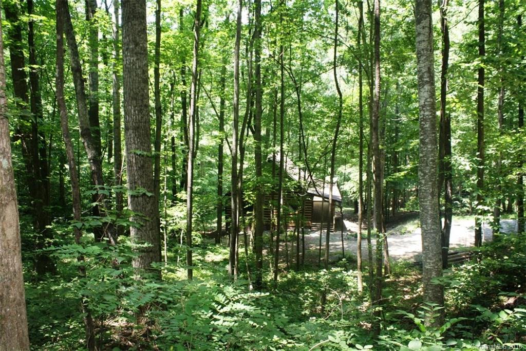 13 Miller Mountain Road Saluda, NC 28773 - Photo 17 of 18 Gallery Image 17