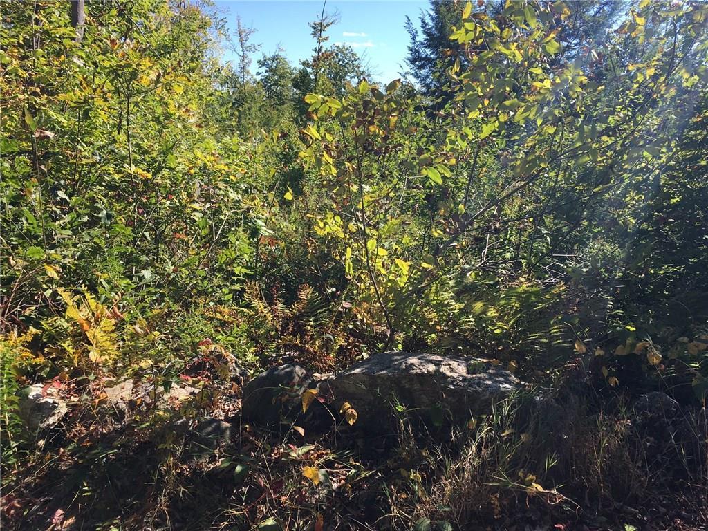 Lot 1 Lords Road North Waterboro, ME 04061 - Photo 1 of 5 Photo