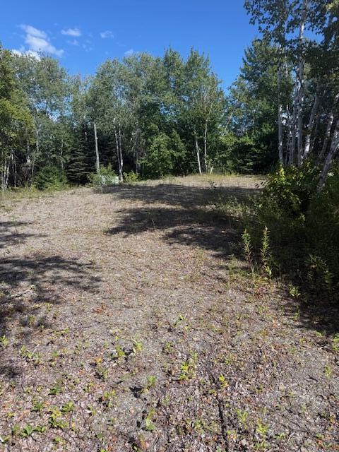 1780 Hamlin Road Hamlin, ME 04785 - Photo 3 of 12 IMG_6207