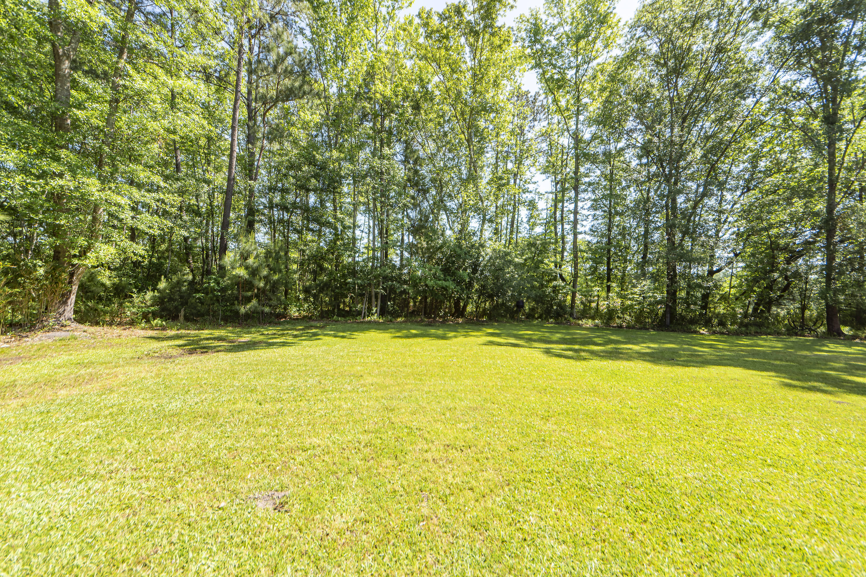 5732 Golden Rice Lane Ravenel, SC 29470 - Photo 38 of 54 39