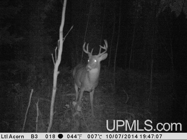 Tbd Tbd Red Shed Road Greenland, MI 49929 - Photo 7 of 7