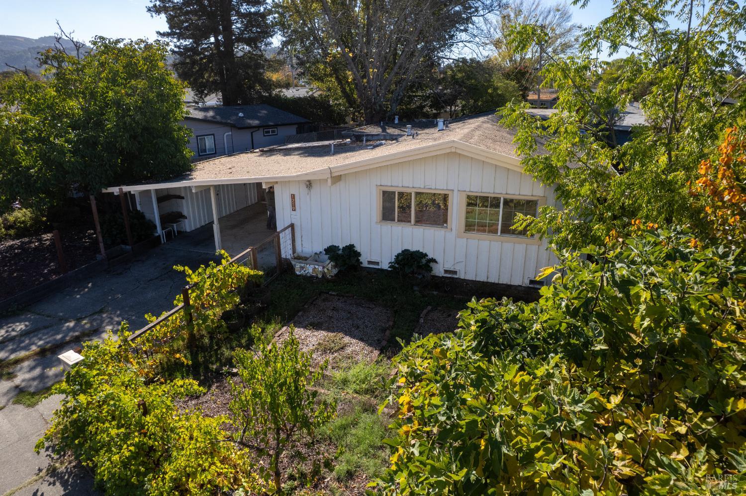 a view of backyard with potted plants and large tree