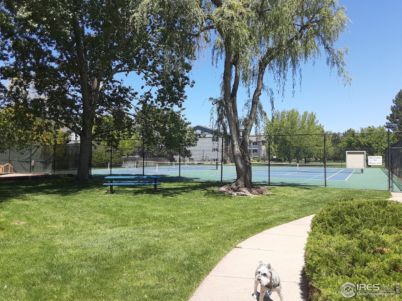 5933 Wellington Road Boulder, CO 80301 - Photo 34 of 39 a view of a swimming pool with a garden