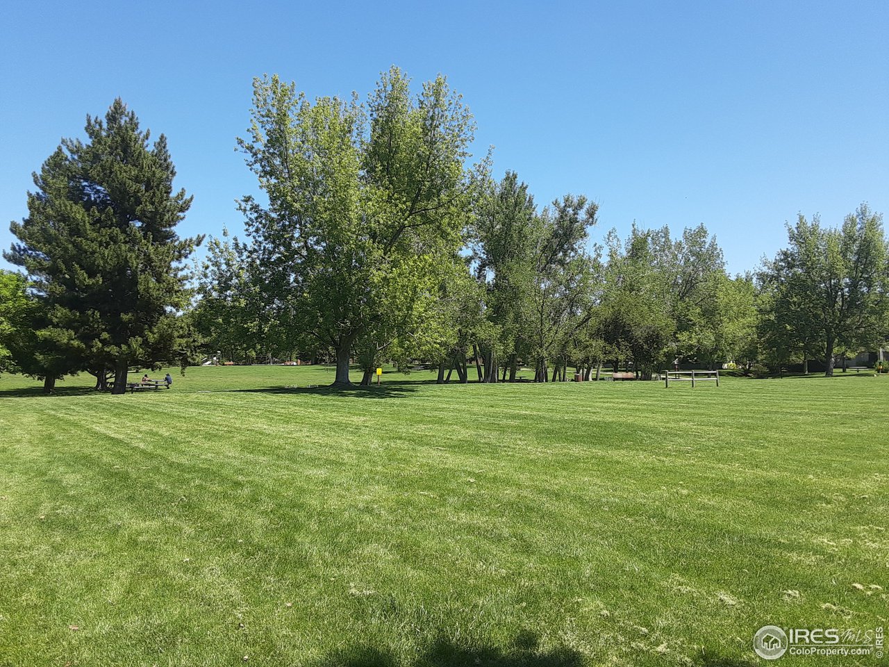 5933 Wellington Road Boulder, CO 80301 - Photo 35 of 39 a big yard with lots of green space and trees