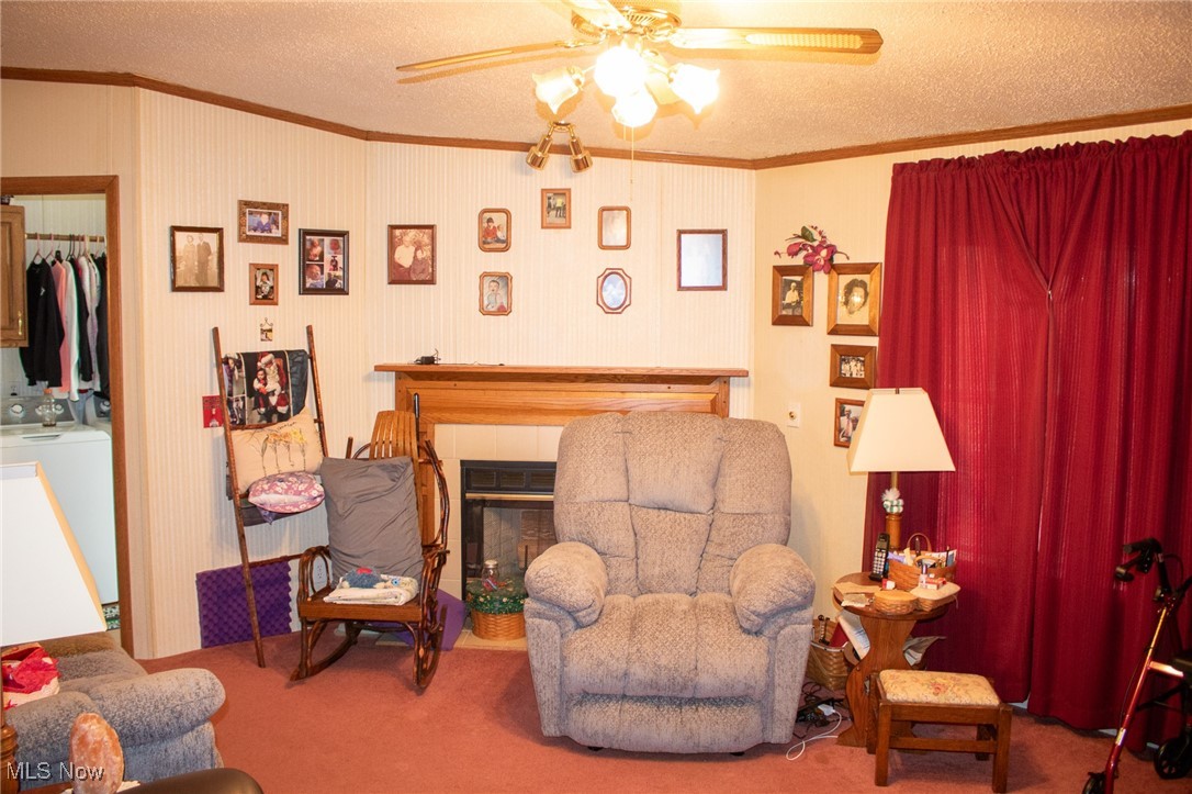 61691 Wintergreen Road Lore City, OH 43755 - Photo 24 of 50 Living area featuring crown molding, a textured ceiling, carpet flooring, a tiled fireplace, and a ceiling fan