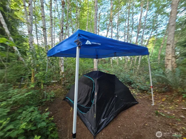 a view of backyard with umbrella and wooden fence