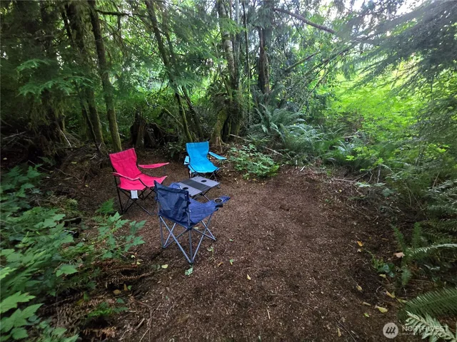 a view of a back yard with the trees