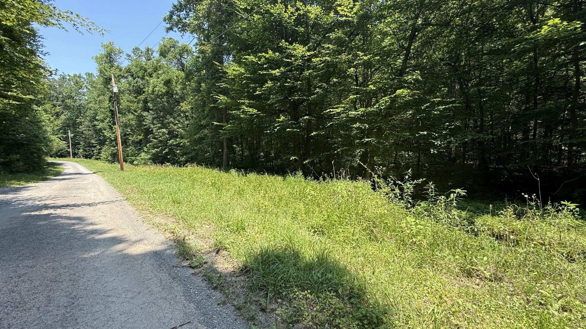1314 Clifton Cemetery Road Spring City, TN 37381 - Photo 1 of 21 Gallery Image 1