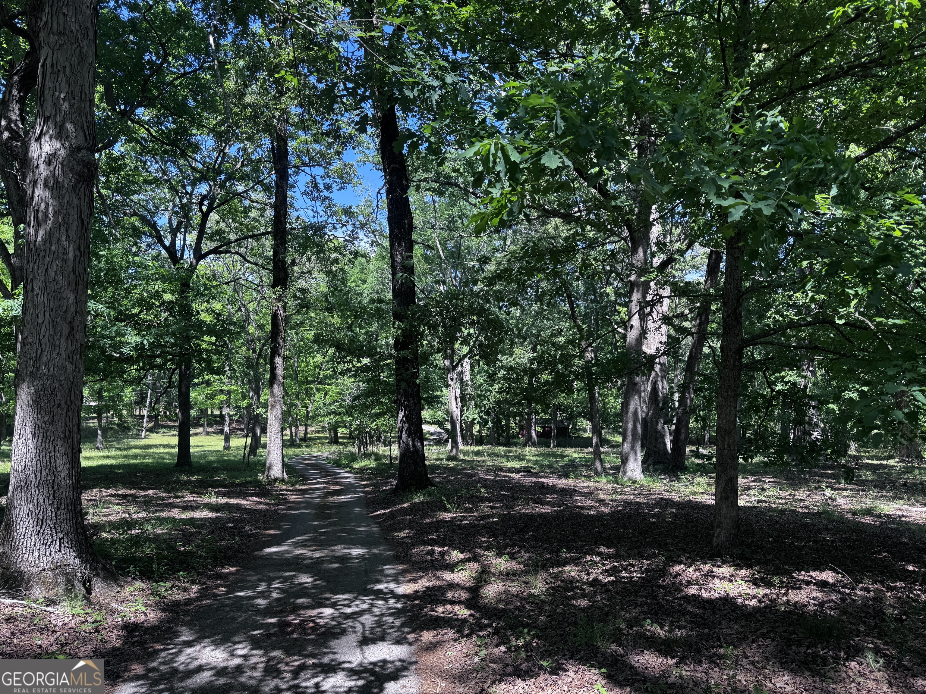 1980 Kilgore Road Griffin, GA 30223 - Photo 14 of 19 a view of a forest with trees