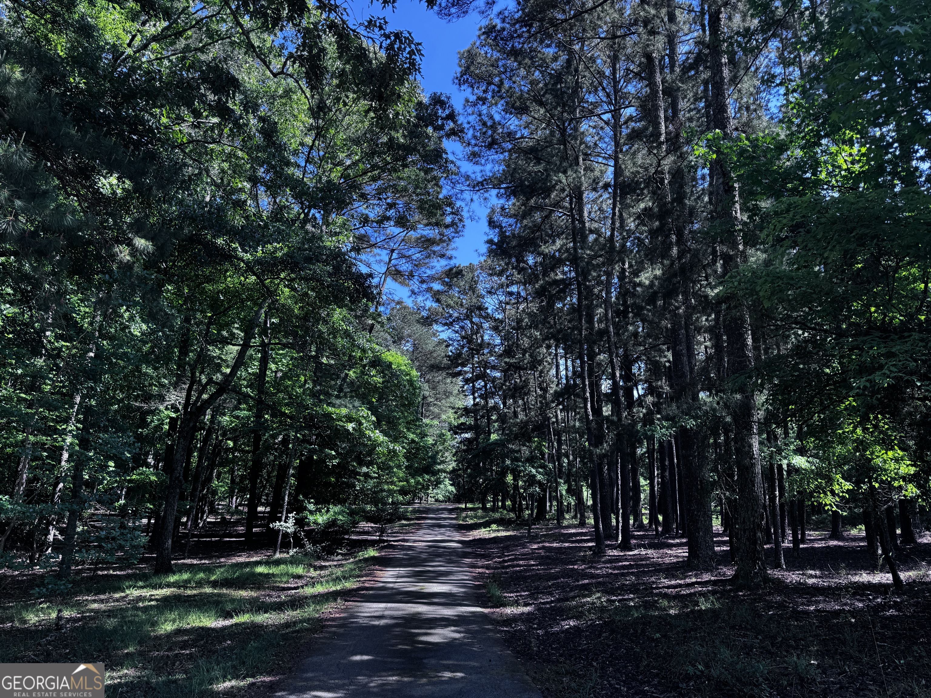 1980 Kilgore Road Griffin, GA 30223 - Photo 17 of 19 a view of outdoor space with trees