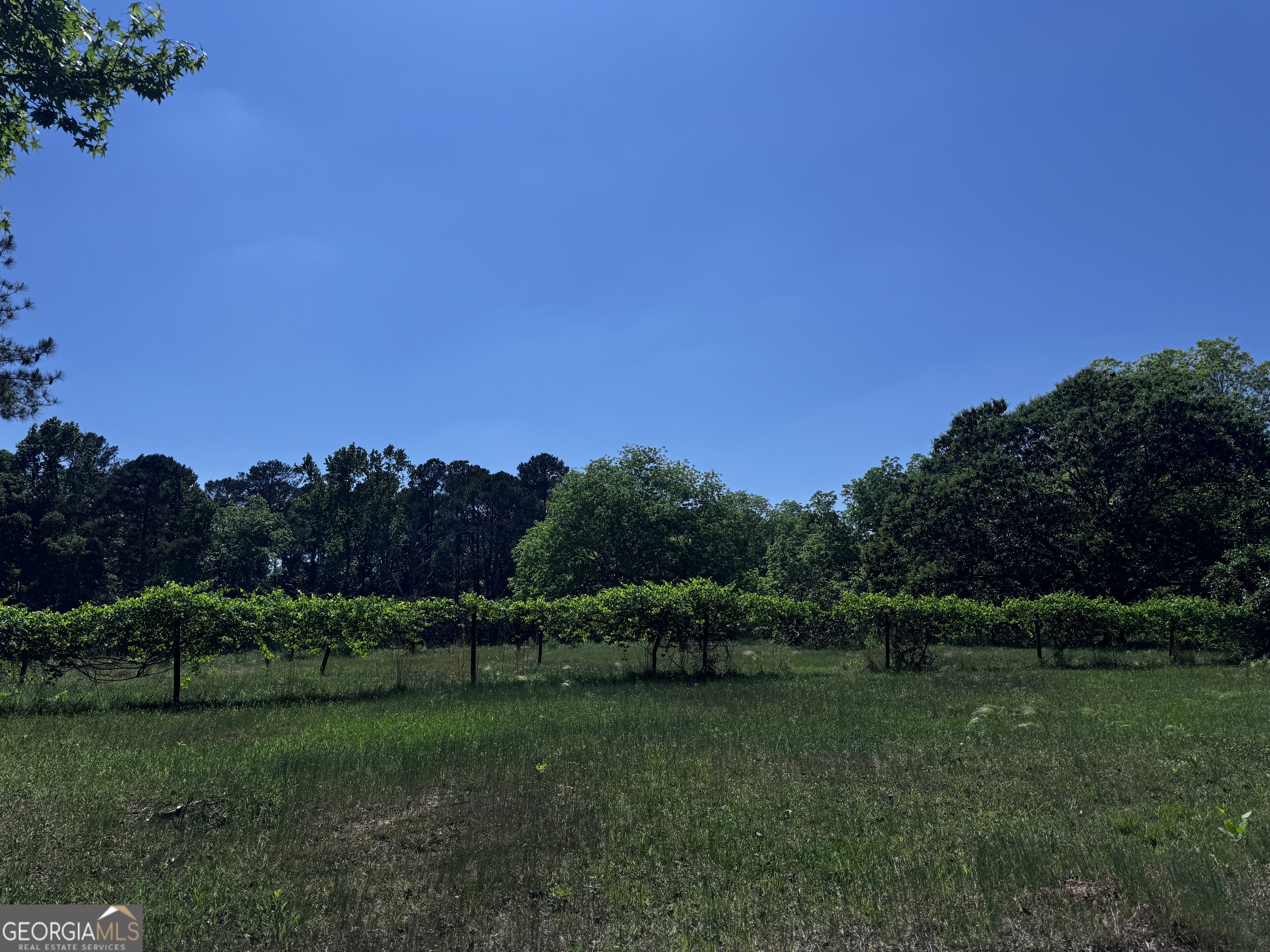 1980 Kilgore Road Griffin, GA 30223 - Photo 18 of 19 a view of a grassy field with trees