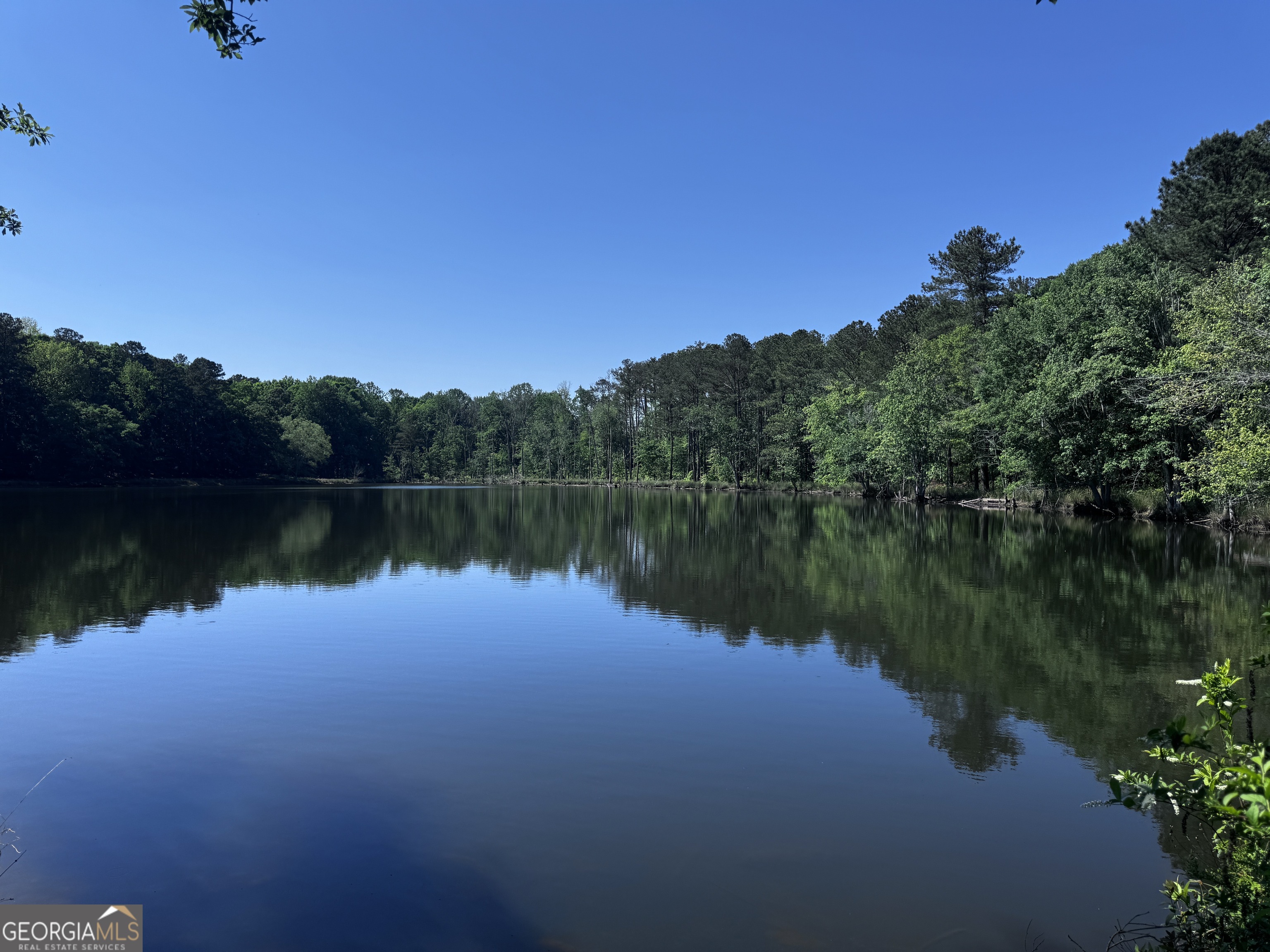 1980 Kilgore Road Griffin, GA 30223 - Photo 2 of 19 a view of a lake in between two and trees