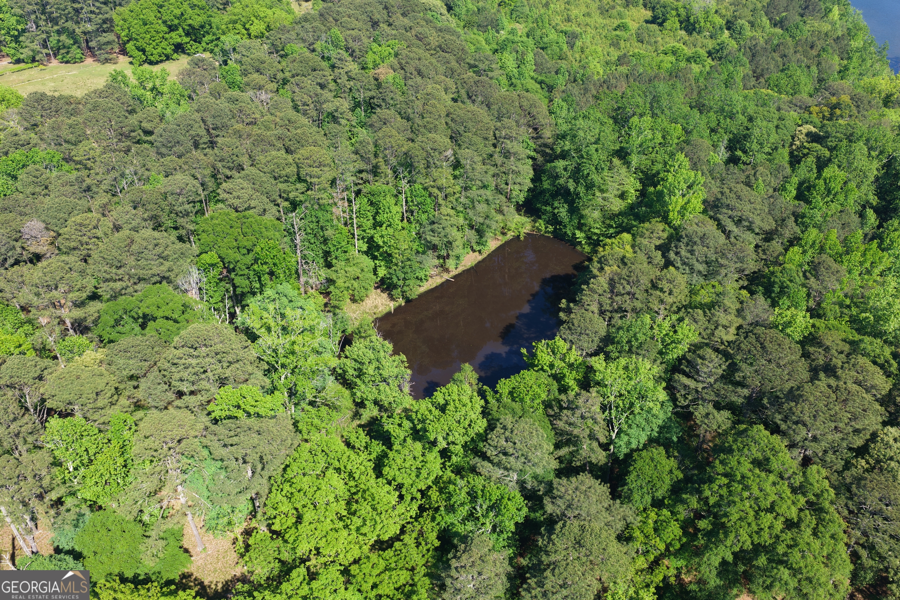 1980 Kilgore Road Griffin, GA 30223 - Photo 4 of 19 an aerial view of a house with a lush green forest
