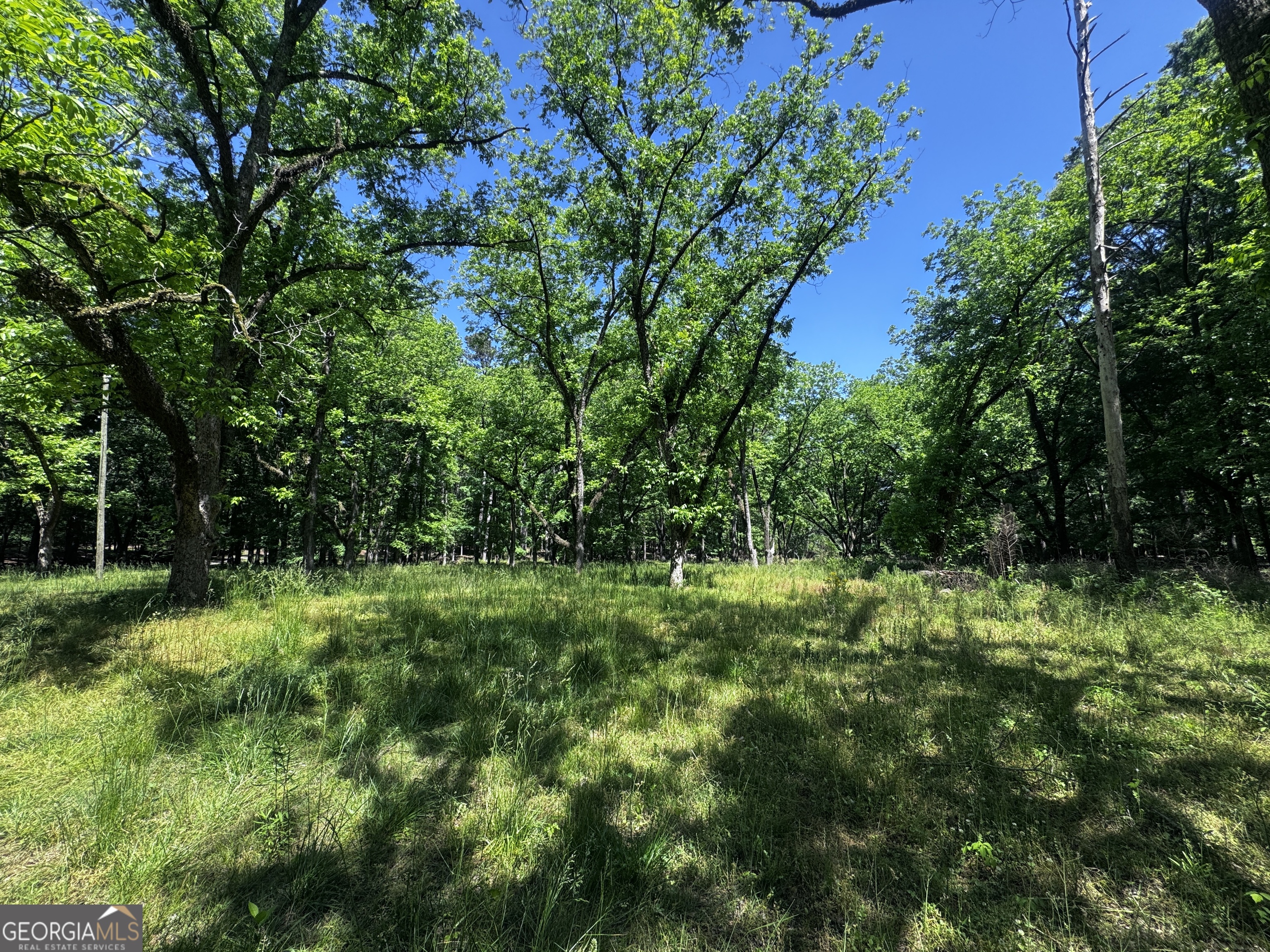 1980 Kilgore Road Griffin, GA 30223 - Photo 5 of 19 a view of a lush green space