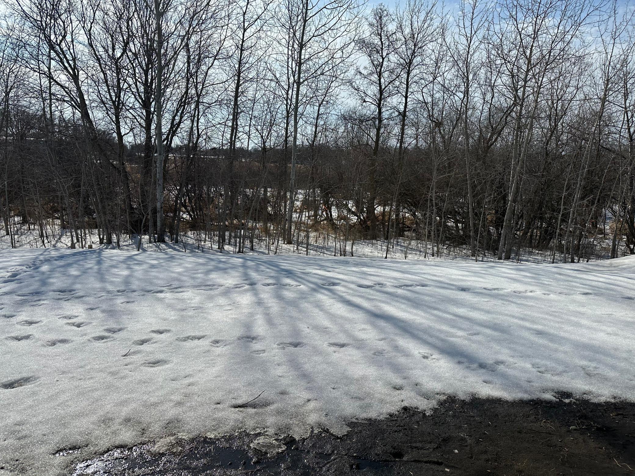 359 Homestead Street Detroit Lakes, MN 56501 - Photo 30 of 31