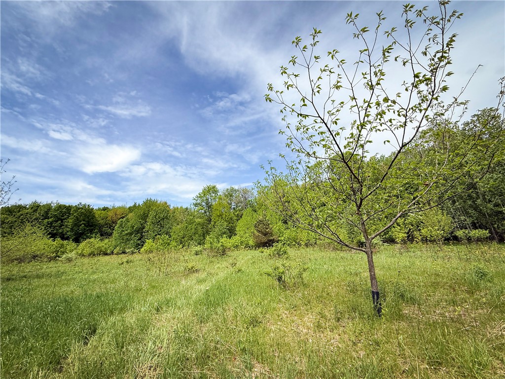 Gifford Road Hannibal, NY 13074 - Photo 30 of 50