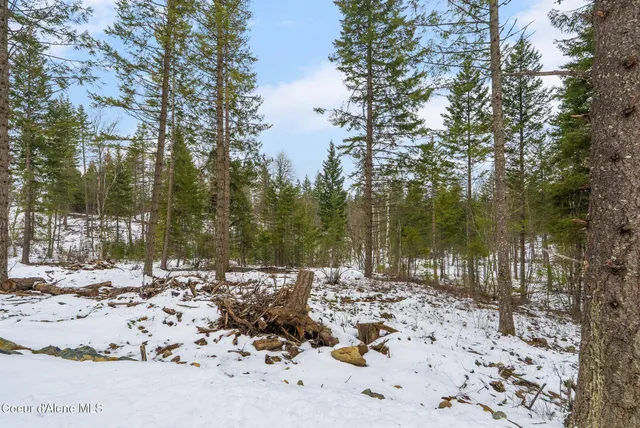 $330,000 | Lot 3 Settlers Lane, Cocolalla, ID 83813