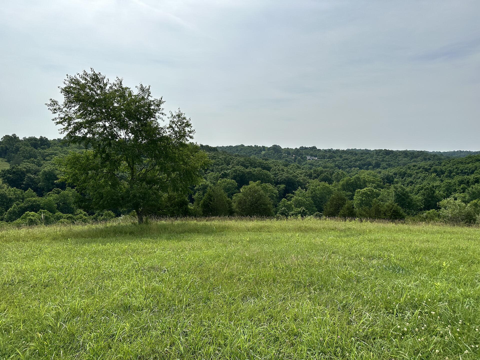 1 Vallandingham Road Dry Ridge, KY 41035 - Photo 17 of 17