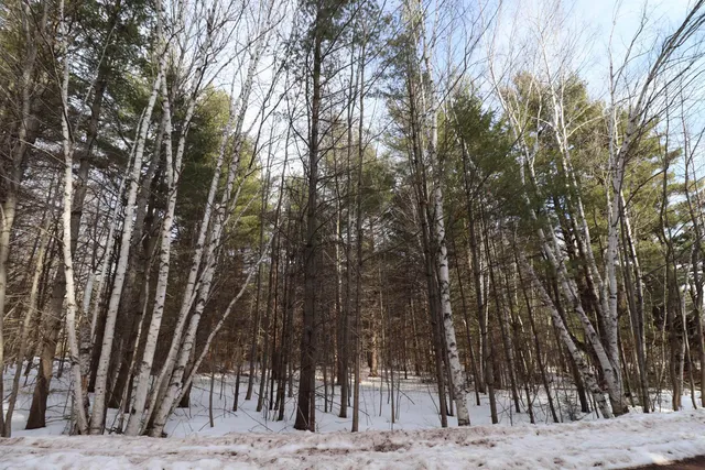 $49,900 | Lot 2 Pinecrest Lane, Bayfield, WI 54814