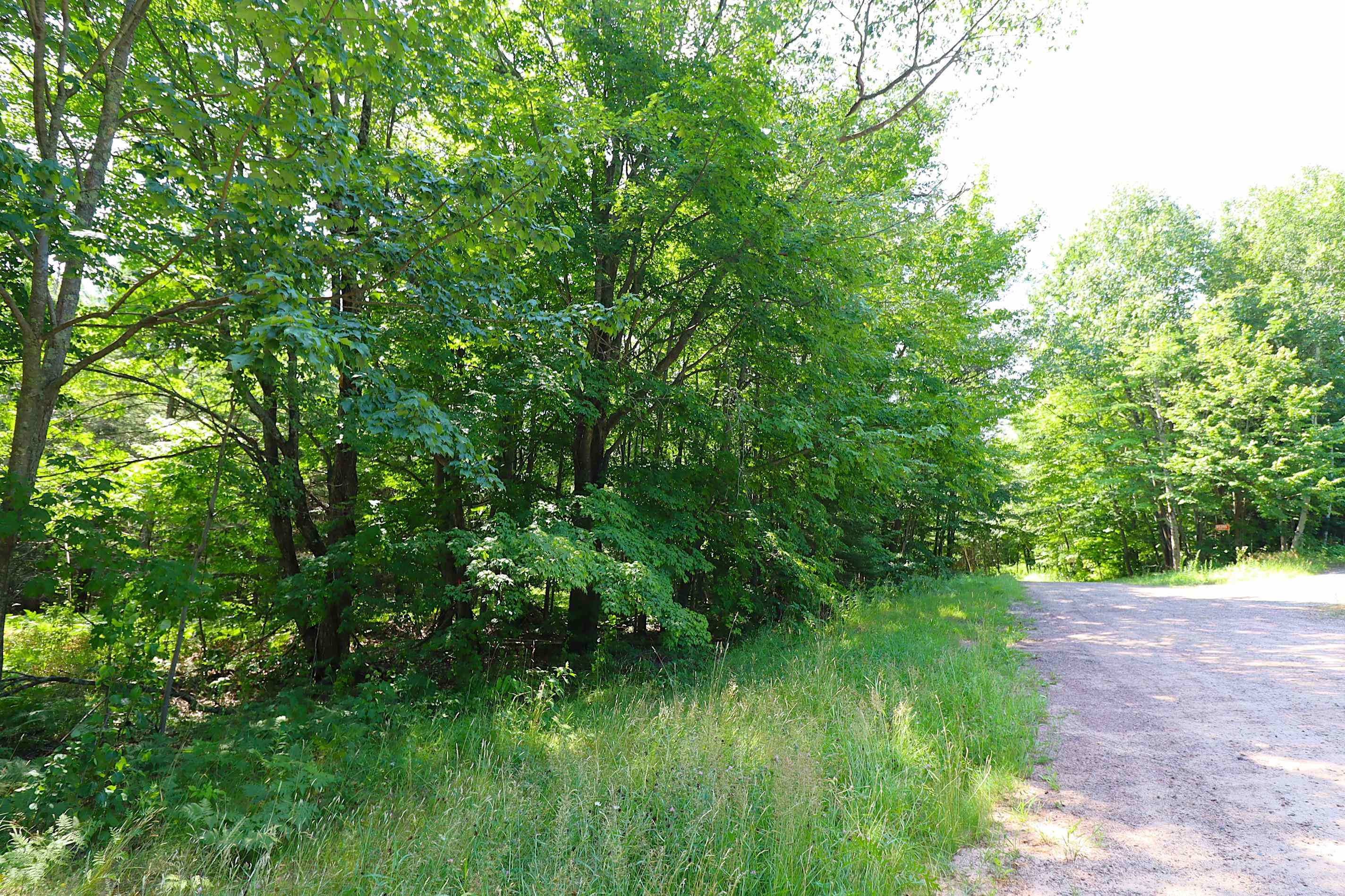 Lot 2 Pinecrest Lane Bayfield, WI 54814 - Photo 2 of 12