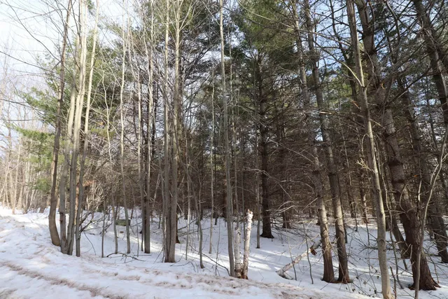 $49,900 | Lot 2 Pinecrest Lane, Bayfield, WI 54814