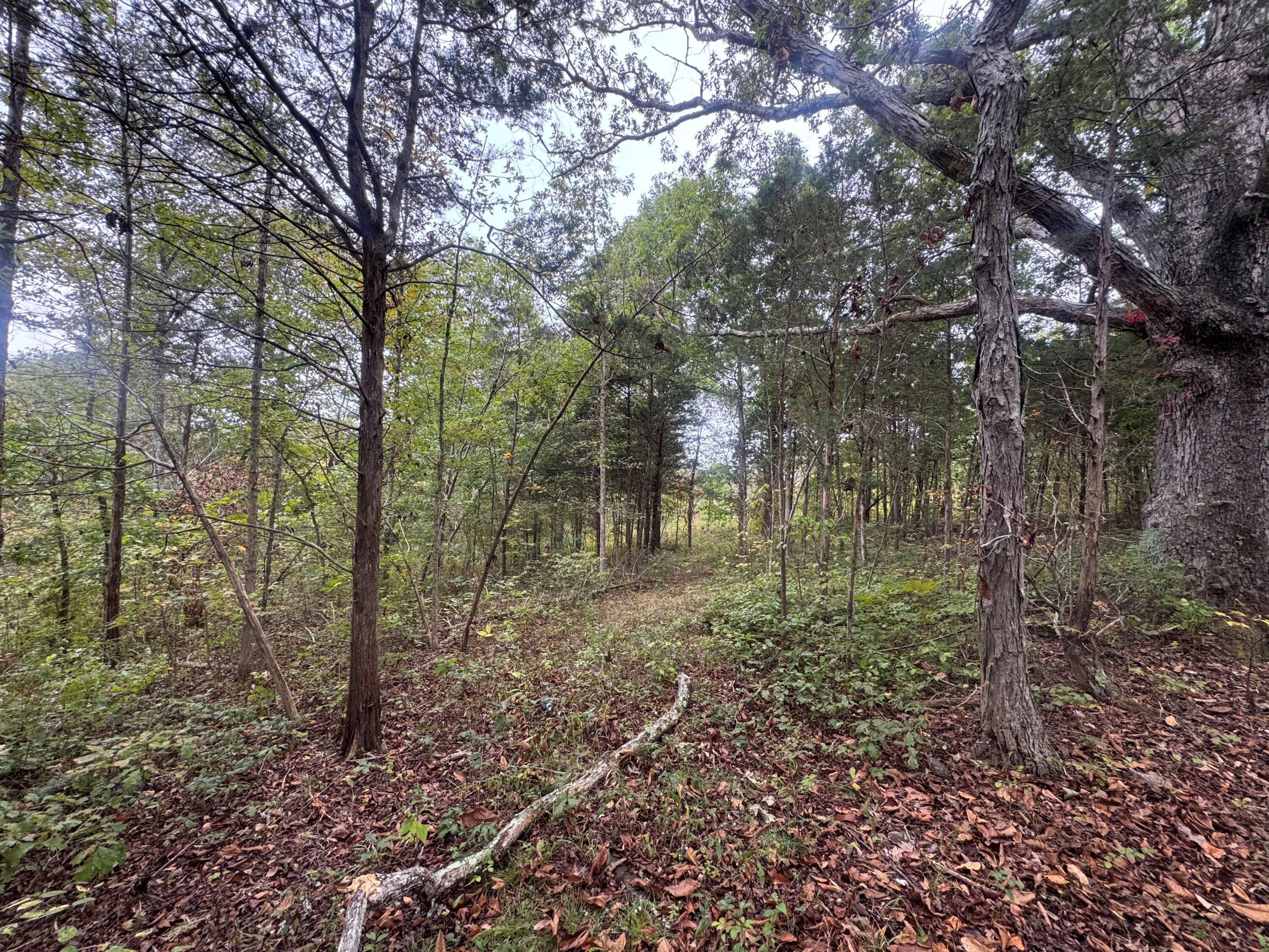 2765 Herman Green Road Owenton, KY 40359 - Photo 14 of 15 Gallery Image 14