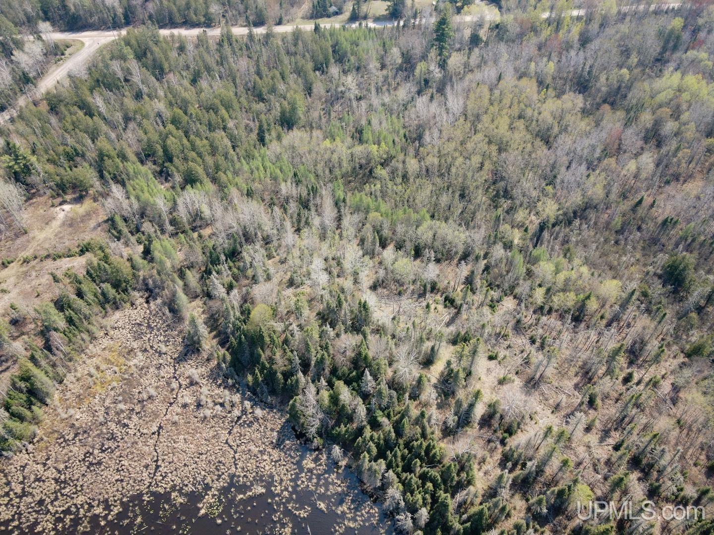 Tbd Parks Farm Road Crystal Falls, MI 49903 - Photo 6 of 10 Gallery Image 6