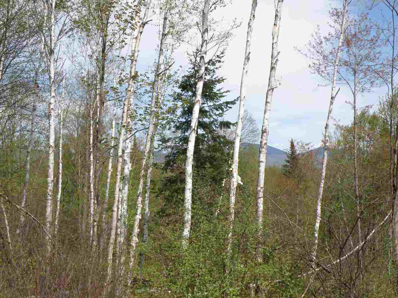 -fl Fellows Road Guildhall, VT 05905 - Photo 7 of 11