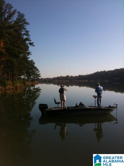 Saunders Bridge Road Sterrett, AL 35147 - Photo 14 of 15