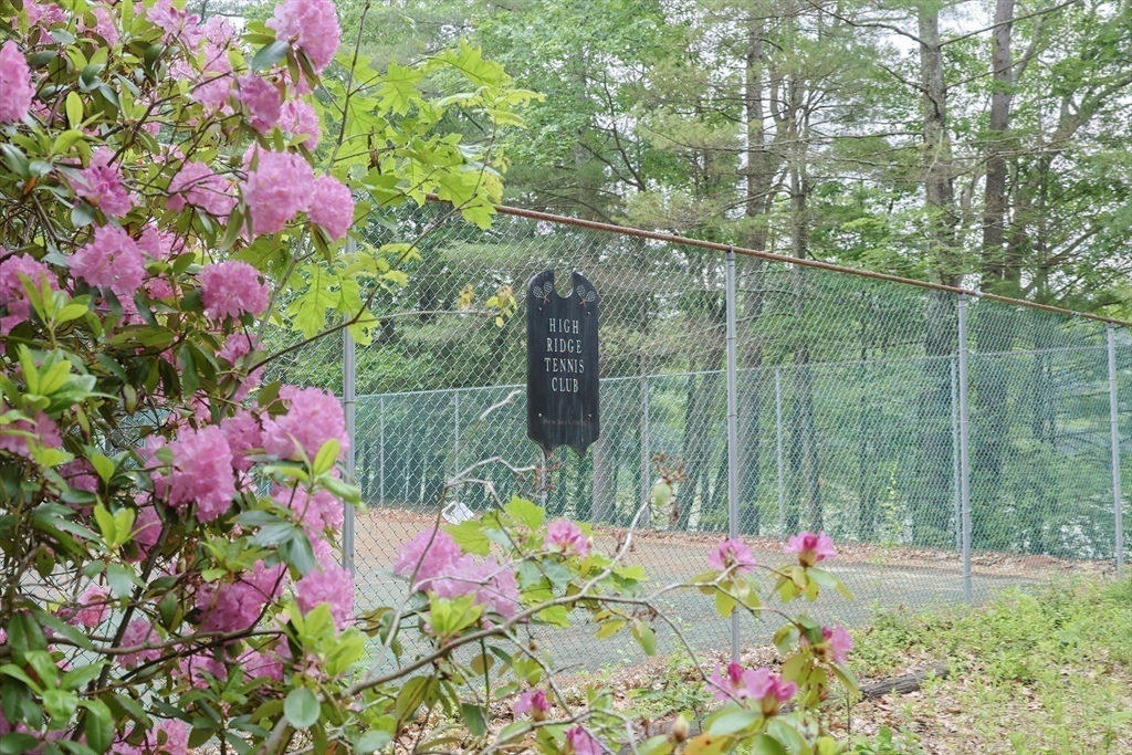 83 High Ridge Road Boxford, MA 01921 - Photo 42 of 42 a small yard with beautiful flowers