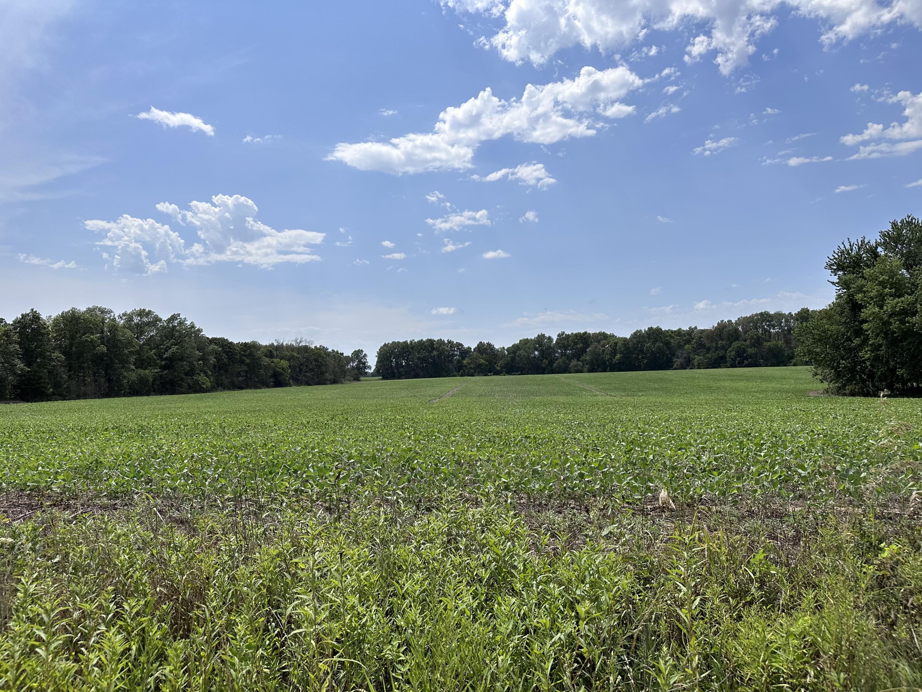 0 2500 Road Milo, MO 64767 - Photo 1 of 1 36EC2642-EED5-4DA8-A303-7E310A1FCBC3