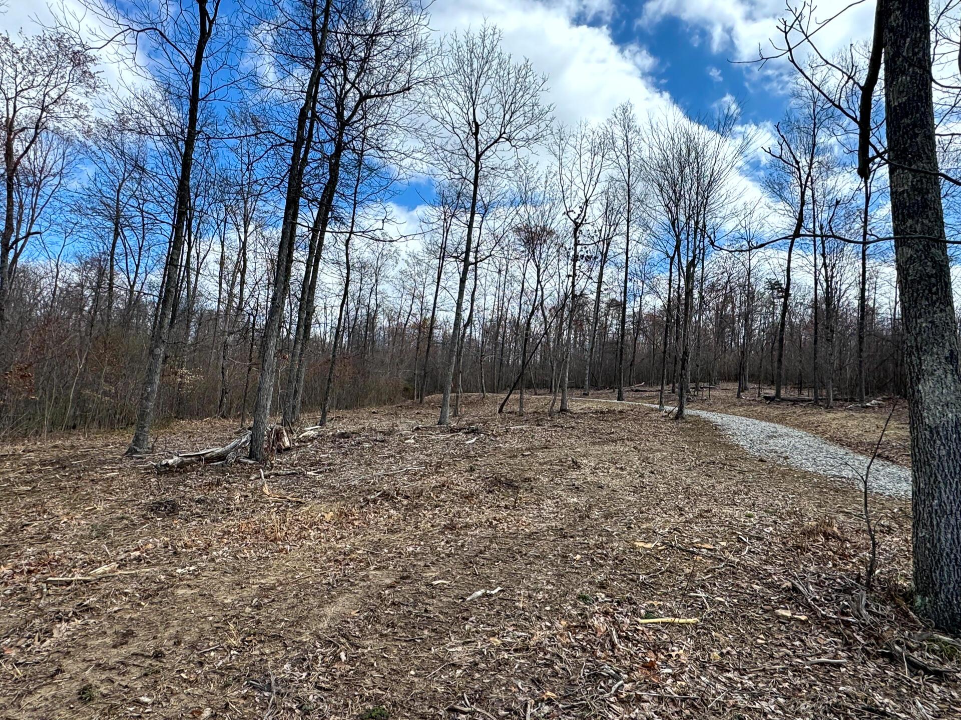 114 Golf Course Road, Unit TRACT 11 SKYLINE ACRES) Waverly, OH 45690 - Photo 5 of 37 CT-5