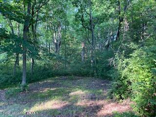 Xxx Ferncliff Road Clitherall, MN 56524 - Photo 1 of 1 Gallery Image 1