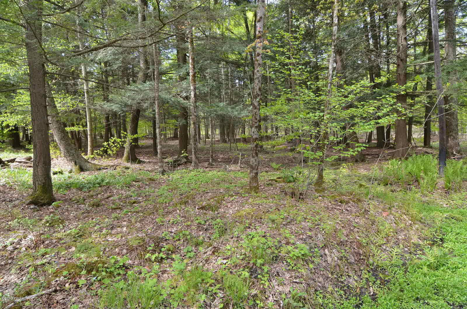 307 Island Lake Road Starrucca, PA 18462 - Photo 9 of 12