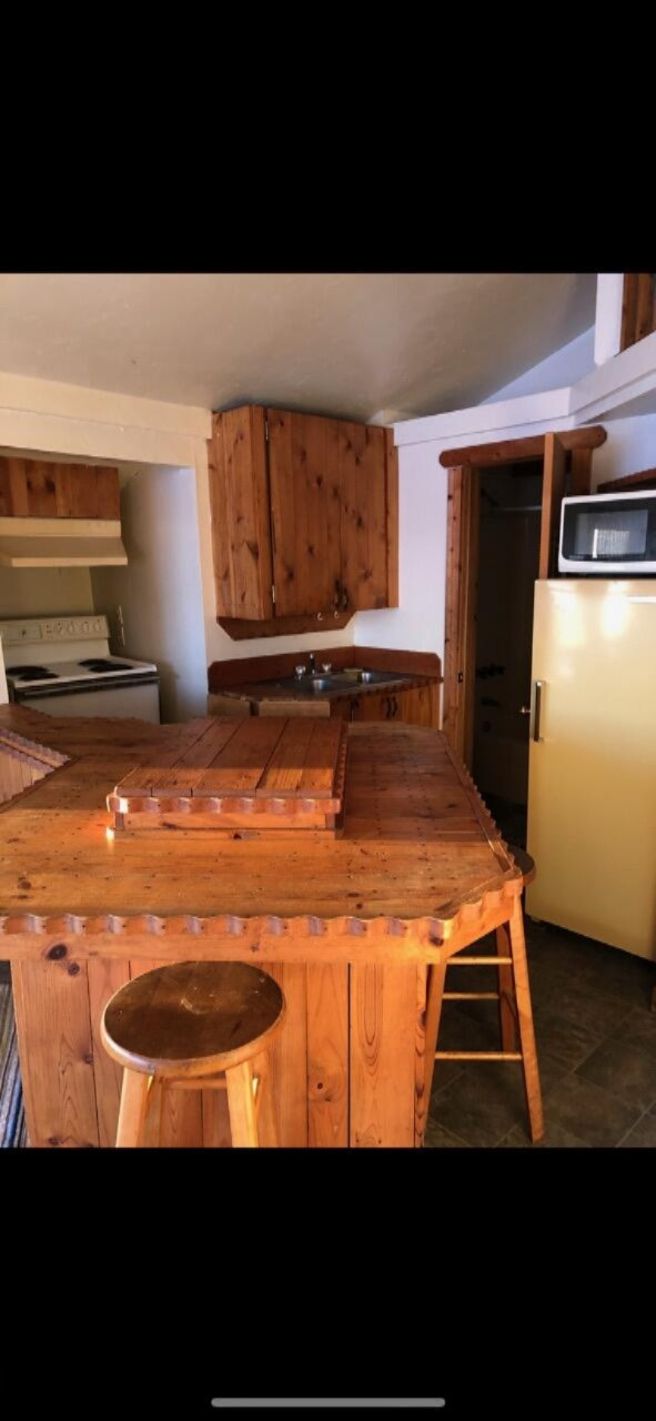 68380 Dailey Road Edwardsburg, MI 49112 - Photo 6 of 10 IMG_4934