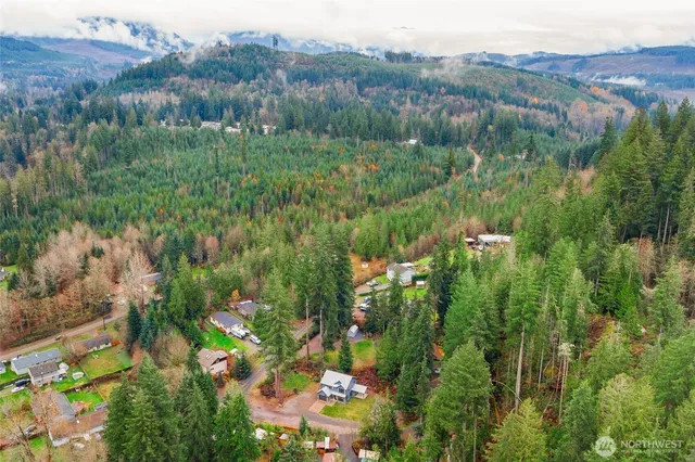 a view of a lush green forest with trees and some houses