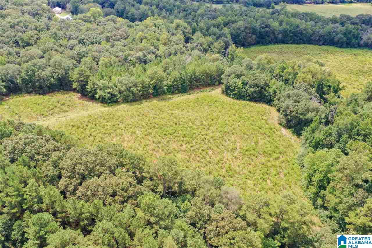 378 Old Mill Road Blountsville, AL 35031 - Photo 1 of 10