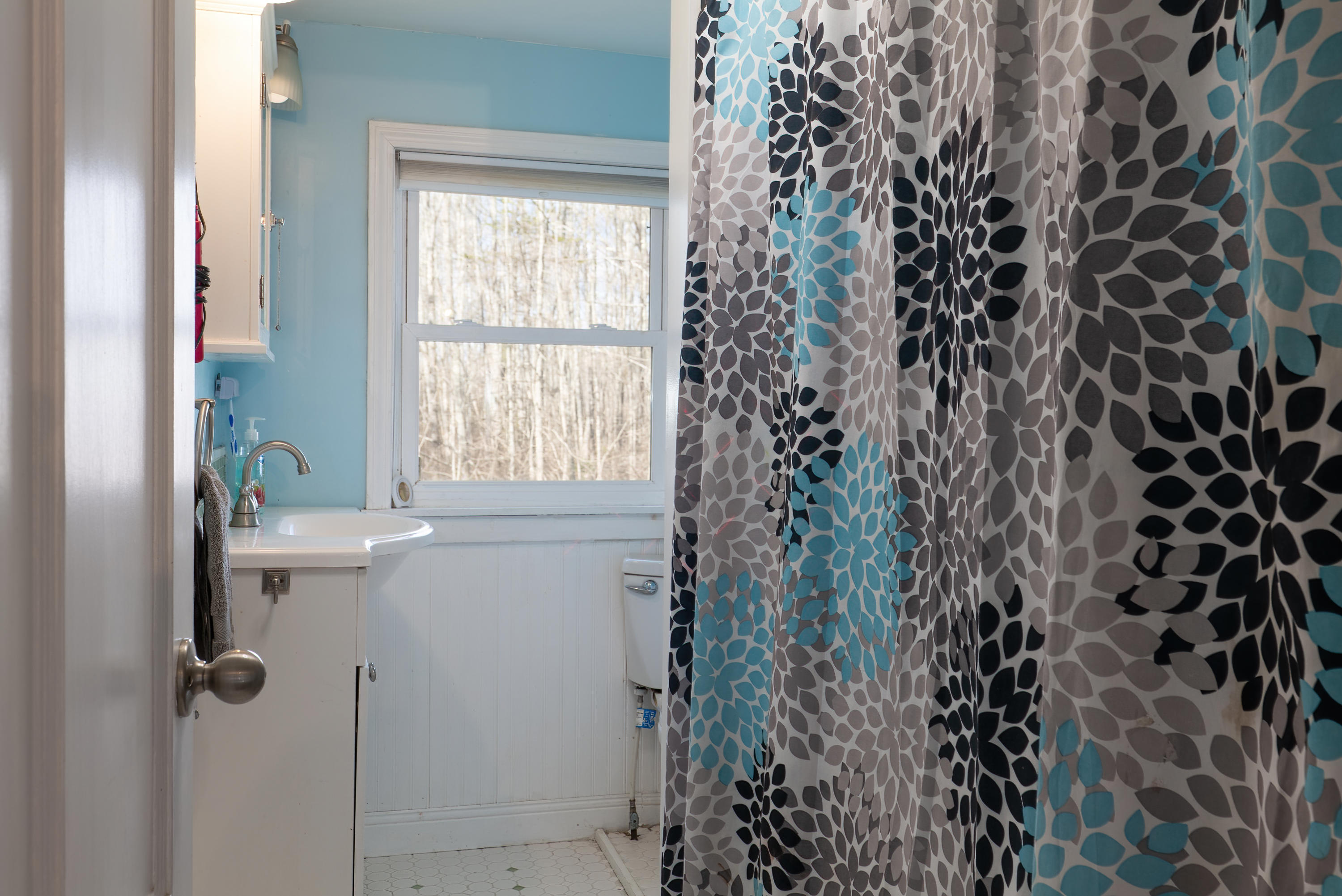 60 Gray Meadow Road Orland, ME 04472 - Photo 20 of 34 60 Gray Meadow HiRes (35)