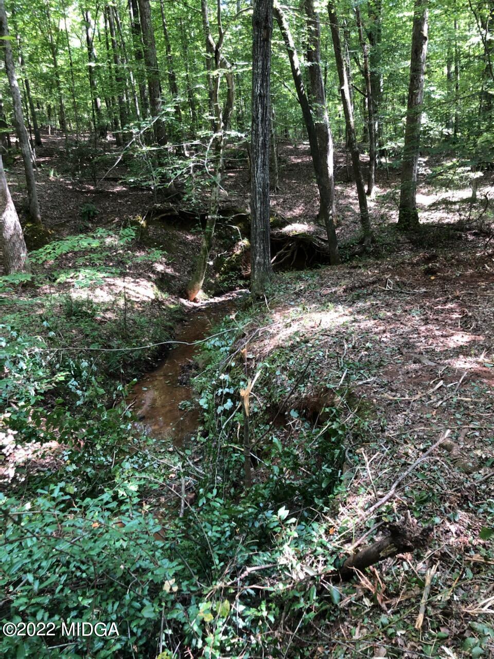 60 Laurel Ridge Forsyth, GA 31029 - Photo 2 of 4 a view of a forest with trees