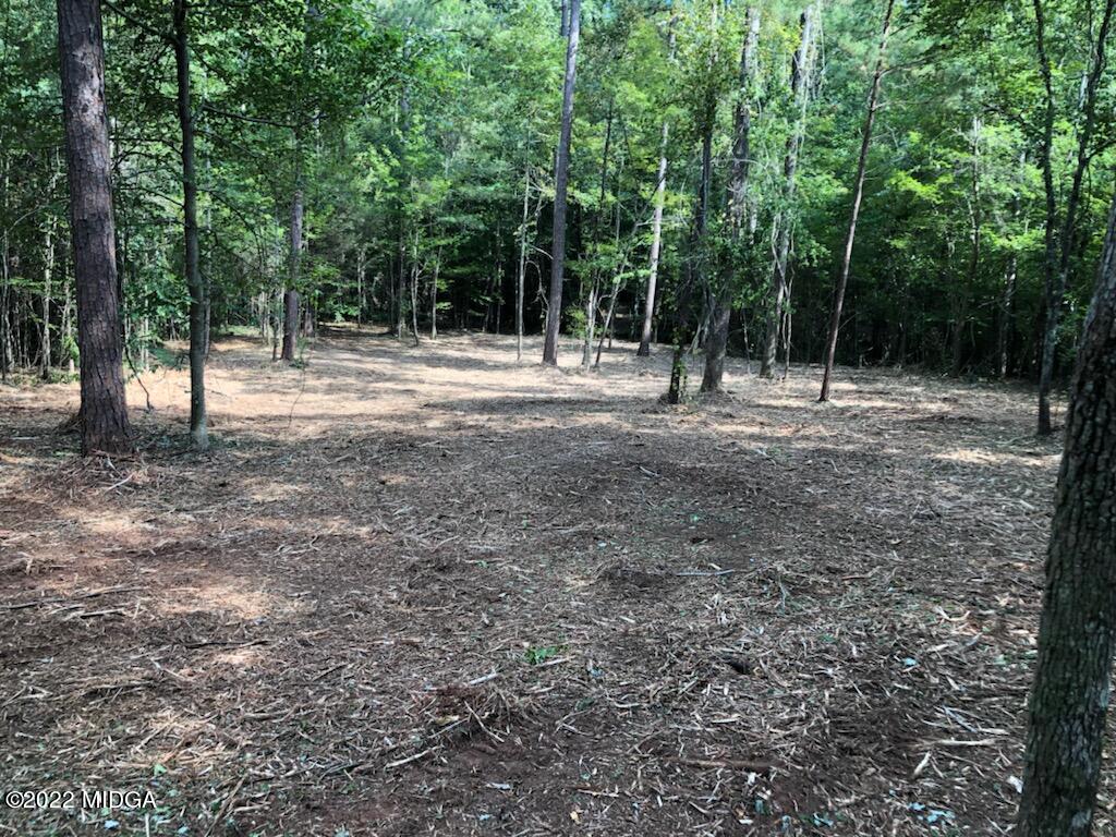 60 Laurel Ridge Forsyth, GA 31029 - Photo 3 of 4 a view of outdoor space with trees