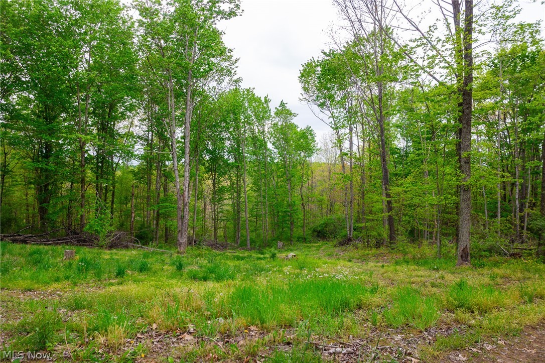 37795 Sheepskin Ridge Road Lower Salem, OH 45745 - Photo 26 of 31