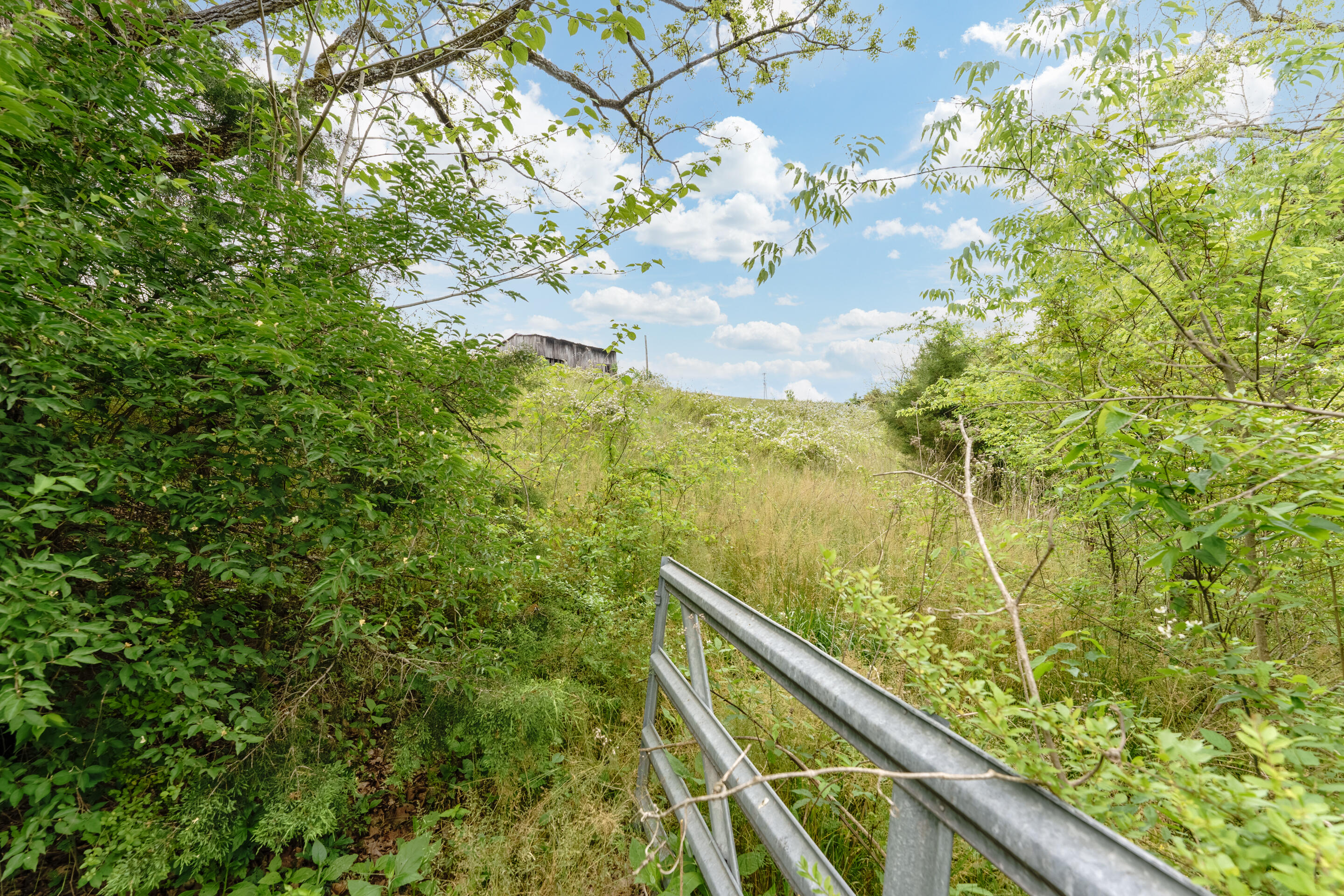 Terry Road Sevierville, TN 37876 - Photo 7 of 23 road 1