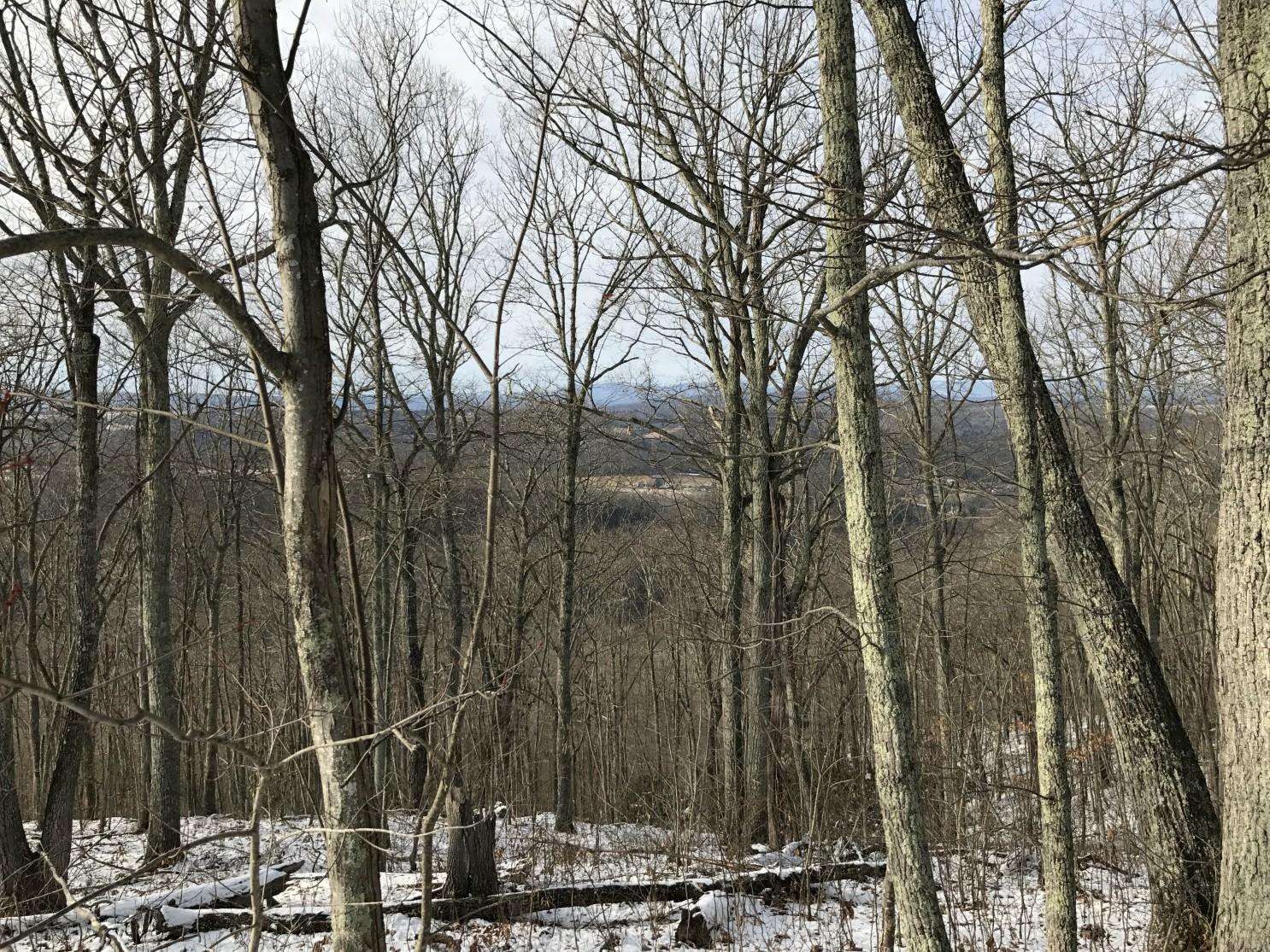 Lot 12 Wildwood Ridge Lindside, WV 24951 - Photo 11 of 24 Gallery Image 11