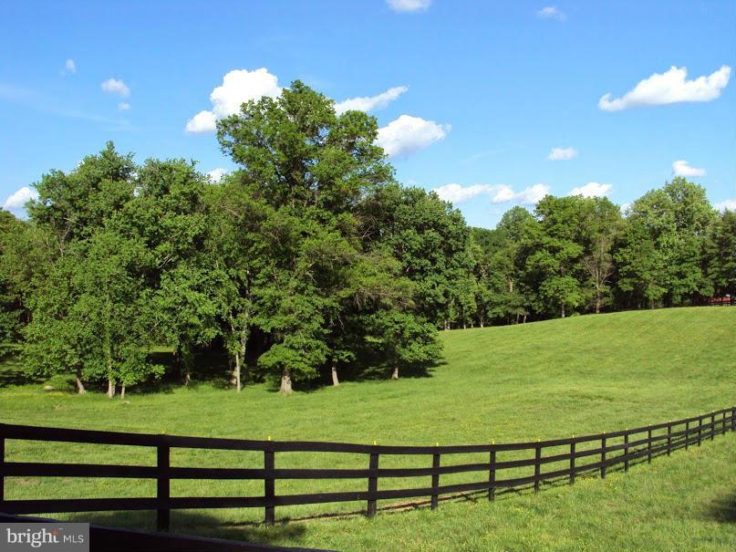 20277 Cockerill Road Purcellville, VA 20132 - Photo 22 of 23 Beautiful views