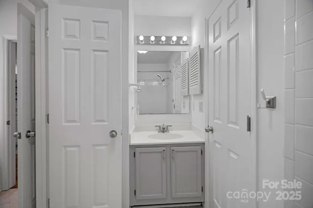 a bathroom with a sink vanity and shower