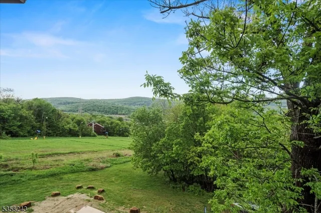 a view of a grassy field with trees