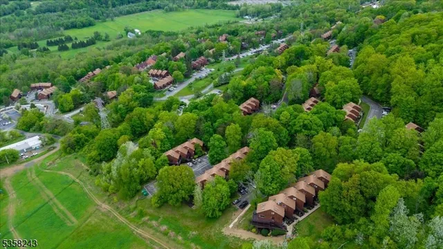 a view of a garden with plants and pool